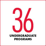 36 undergraduate programs