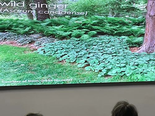 Duncan Himmelman Ph.D. gives lecture